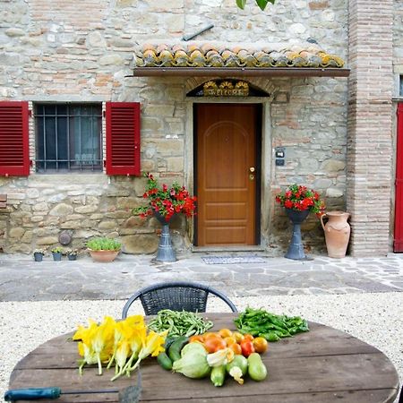 Casa Donella B&B Gricignano Zewnętrze zdjęcie
